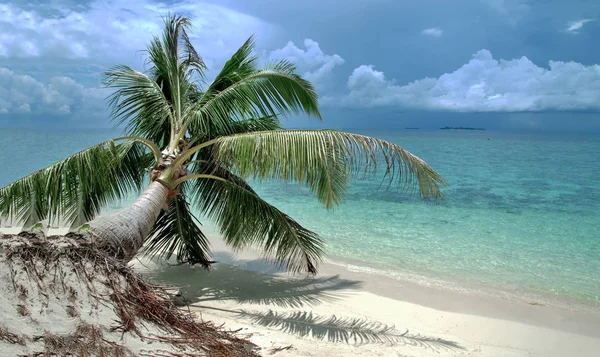 Isla Tortugas Selingan Cerca Borneo Mar Sulu —  Fotos de Stock