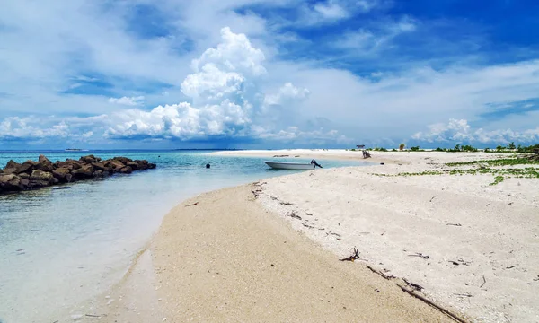 Selingan Ilha Tartaruga Perto Bornéu Mar Sulu — Fotografia de Stock