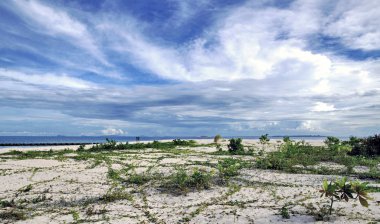 Selingan Kaplumbağa Adası Borneo Sulu Denizi yakınlarında