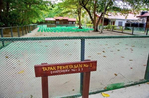 Selingan 岛上的海龟孵化场 — 图库照片