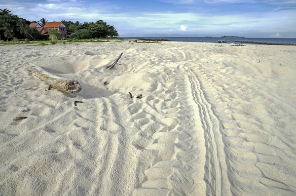 Selingan 龟岛附近的苏鲁海 — 图库照片