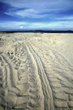 Selingan Kaplumbağa Adası Borneo Sulu Denizi yakınlarında