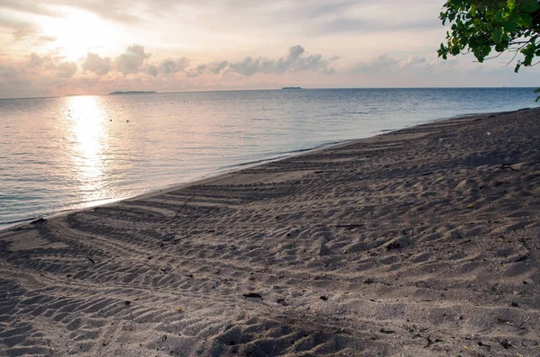 Isla Tortugas Selingan Isla Tortugas Selingan Cerca Borneo Mar Sulu — Foto de Stock