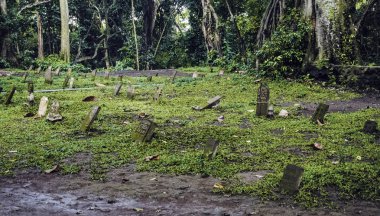 Maymun orman sığınak Ubud, Bali, Endonezya mezarlıkta.