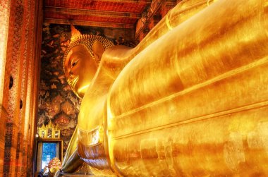 Buda 'nın altın heykeline yaslanarak. Wat Pho, Bangkok, Tayland.