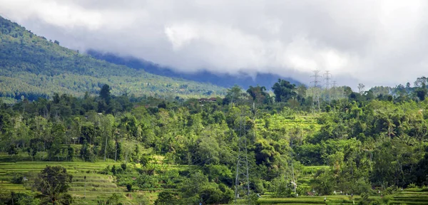 Rijstterrassen Bali — Stockfoto