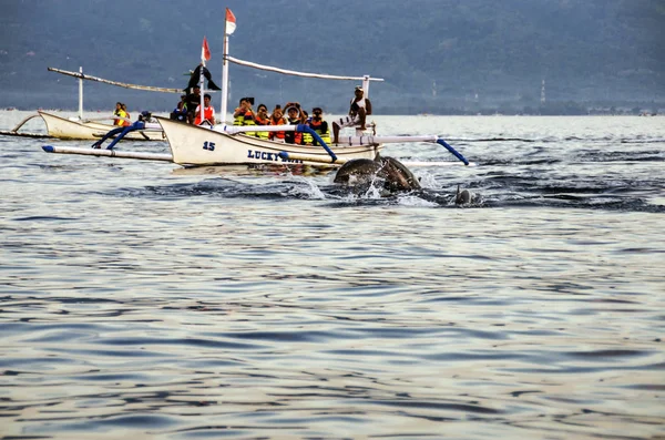 印度尼西亚巴厘岛 5月20日 许多游客在印度尼西亚巴厘岛的洛维纳海滩寻找海豚 游客最受欢迎的活动包括清晨乘船游览海豚 — 图库照片