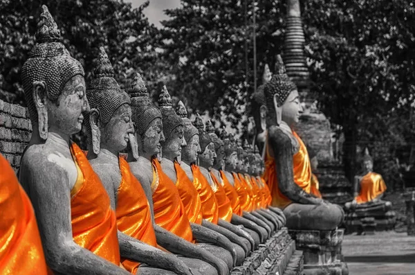 Statue Buddha Allineate Wat Yai Chaimongkol Ayutthaya Bangkok Thailandia — Foto Stock