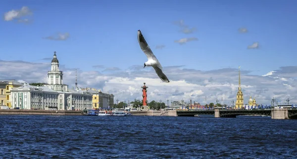 Peter und Paul Festung in St. Petersburg — Stockfoto