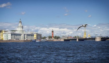 Görünüm Exchange Meydanı, Peter ve Paul Katedrali, Kunstkamera ve Rostral sütun, Saint-Petersburg, Rusya Federasyonu