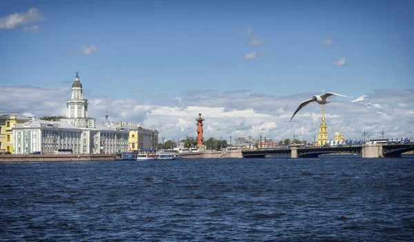 Görünüm Exchange Meydanı, Peter ve Paul Katedrali, Kunstkamera ve Rostral sütun, Saint-Petersburg, Rusya Federasyonu