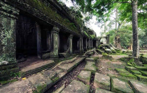 柬埔寨吴哥窟Ta Prohm寺的古老石料废墟 — 图库照片