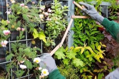 Bahçede çalışan genç bir kadın.