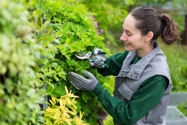 Женщина, работающая в саду — стоковое фото