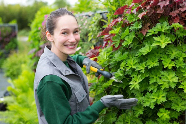 Žena pracující na zahradě — Stock fotografie