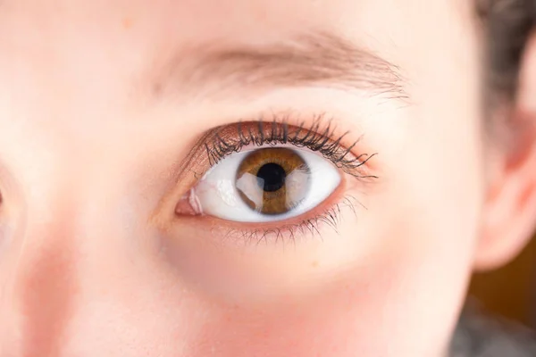 Olho marrom em alta definição — Fotografia de Stock