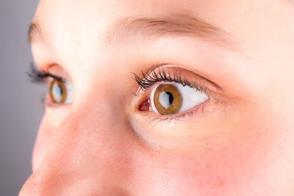 Braune Augen in High Definition — Stockfoto