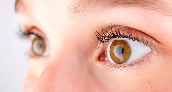 Yüksek tanımlı kahverengi göz — Stok fotoğraf