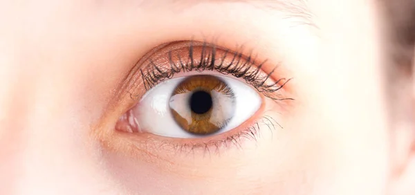 Braune Augen in High Definition — Stockfoto