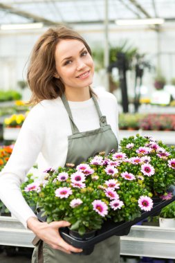 Bitki Kreş çalışan kadın