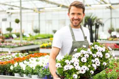 Bitki Kreş çalışan adam