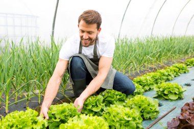 Bitki Kreş çalışan adam