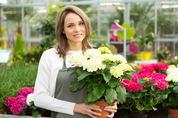Vrouw werken bij de planten kwekerij — Stockfoto