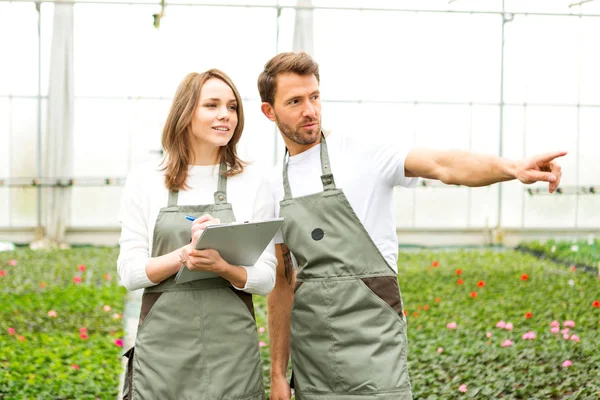 Florist arbetar tillsammans — Stockfoto