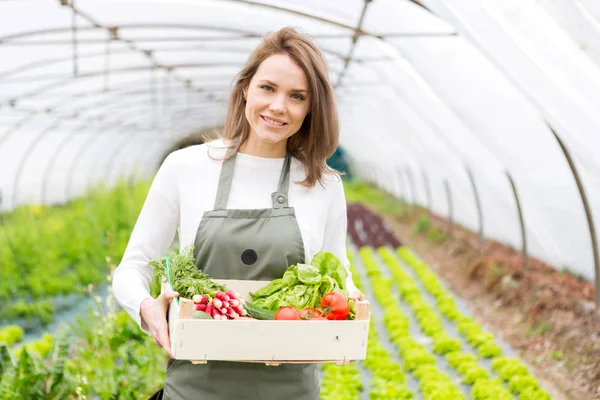 Woman working at the plants nursery — Stock Photo, Image