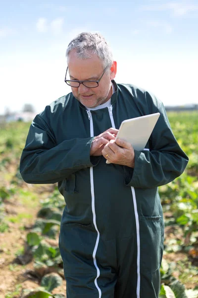 Agricultor atraente sênior que trabalha em um campo ajudado por seu tablet — Fotografia de Stock