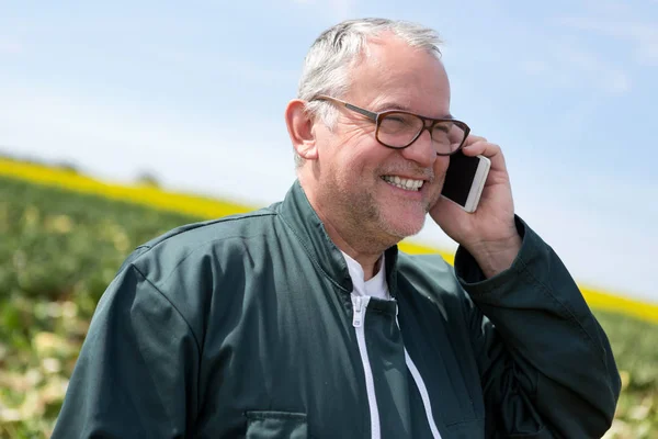 Senior farmer in field — Stock Photo, Image