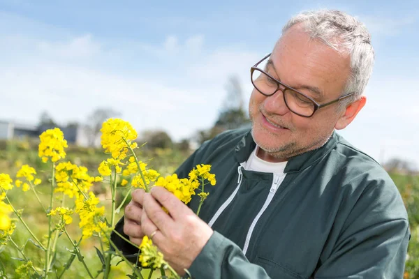 Senior Landwirt auf dem Feld — Stockfoto