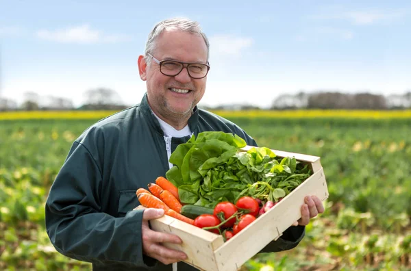 Senior aantrekkelijke boer oogsten van groenten in een veld - Natu — Stockfoto