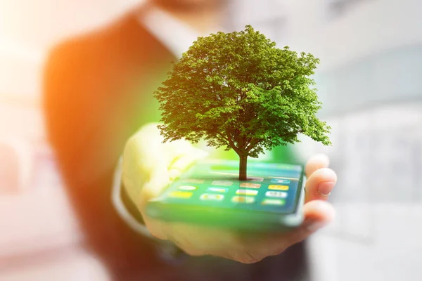 Grüner Baum und Smartphone — Stockfoto