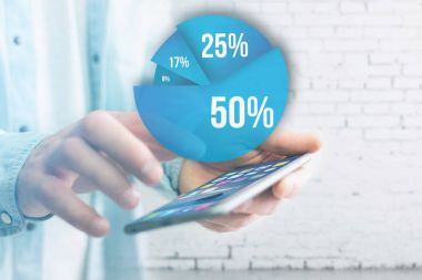 Mavi Anketi grafik arabirimi