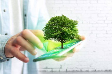 Yeşil ağaç ve smartphone