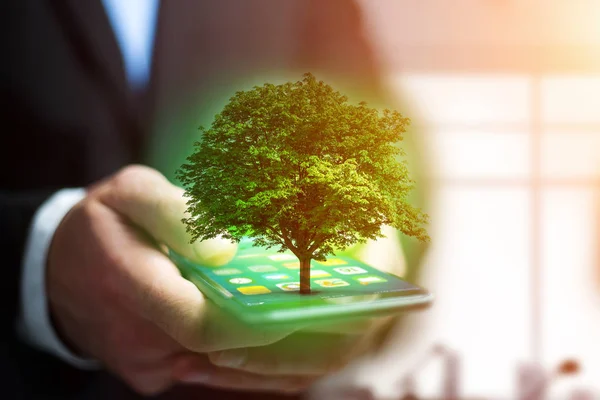 Gröna träd går ut från en smartphone - ekologi-konceptet — Stockfoto