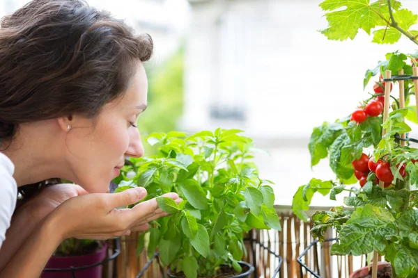 Mujer cuidando de la planta — Foto de Stock