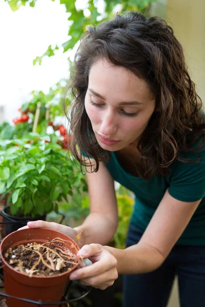 女性の植物の世話 — ストック写真