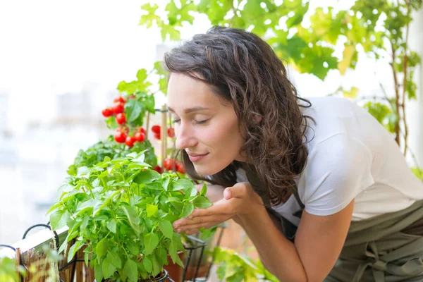Жінка доглядає за рослиною — стокове фото