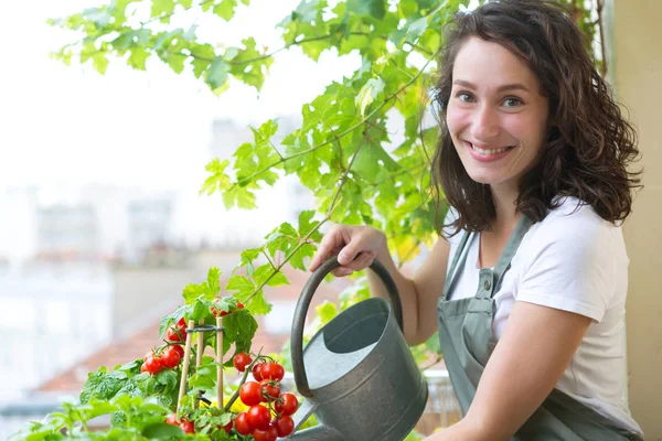 Giovane donna che innaffia pomodori sul suo giardino balcone della città — Foto Stock