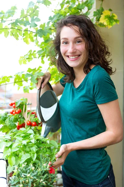 Jovem mulher que rega tomates — Fotografia de Stock