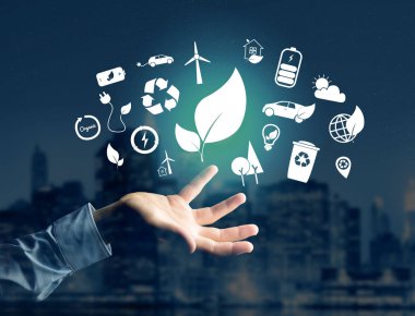 Teknoloji ekolojik arabirimi