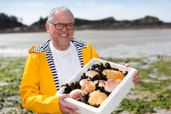 Porträtt av en äldre fiskare med pilgrimsmussla han bara samla — Stockfoto