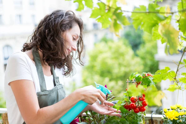 若い女性彼女の市バルコニー庭のトマトに水をまく — ストック写真