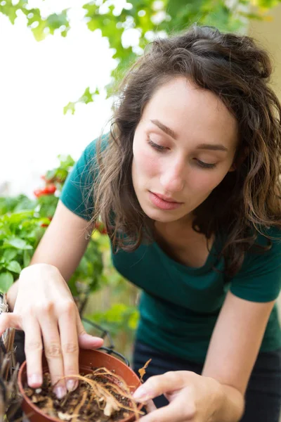 Молода жінка усвідомлює, що її рослина померла — стокове фото