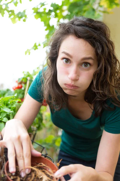 Surprised woman with dead plant — Stock Photo, Image
