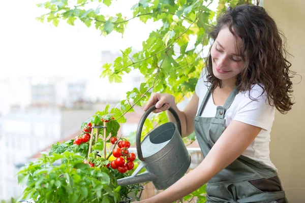 Ung kvinna vattning tomater — Stockfoto