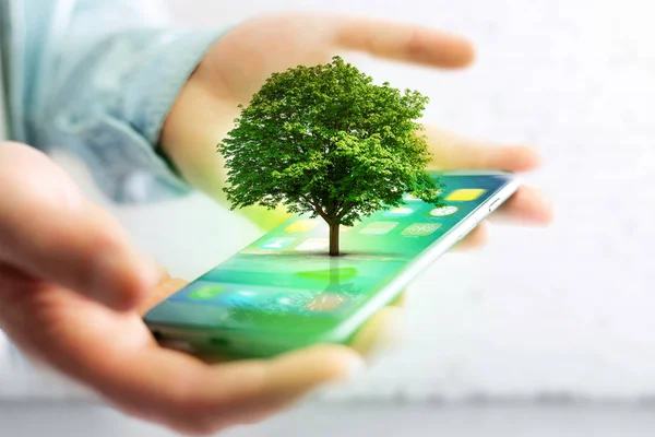 Πράσινο δέντρο που βγαίνει από ένα smartphone — Φωτογραφία Αρχείου