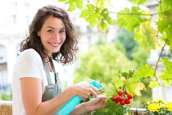 Giovane donna che annaffia pomodori — Foto Stock